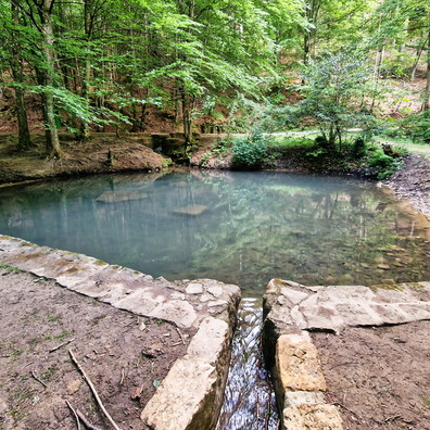 Pond near Pieta von Rollingen