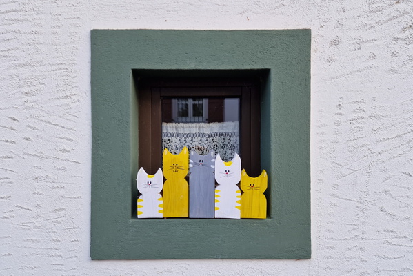 Cats window