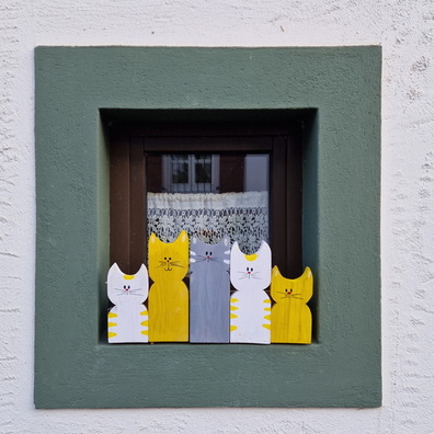 Cats window