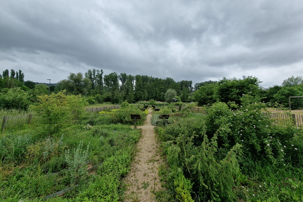 Garden near Brill, Schifflange