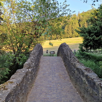 20220613_202515.jpg