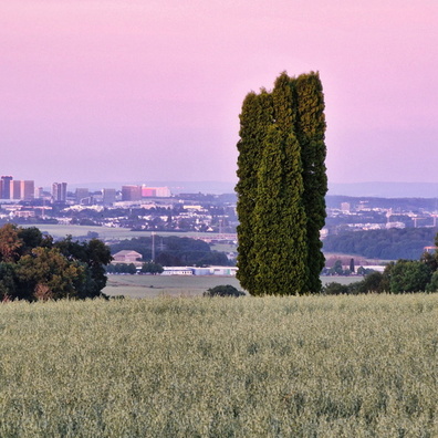 View to Luxembourg from Garnich