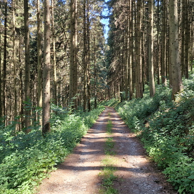 20220616_121515.jpg