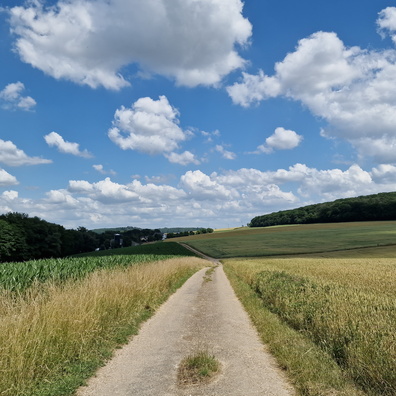 Fields near Boudler