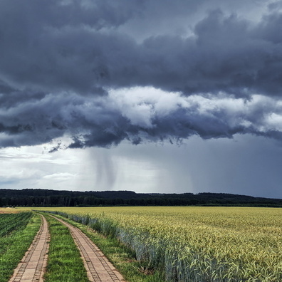 Thunderstorm