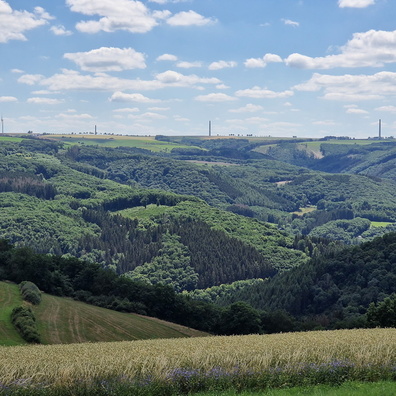 View to Wiltz valley from Schlindermanderscheid