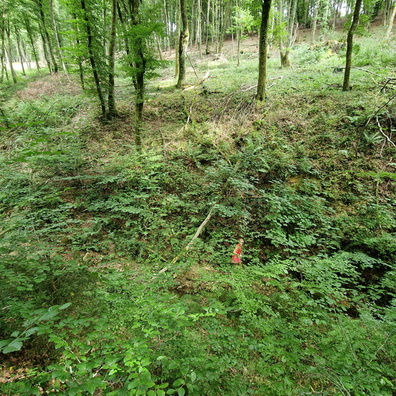 20220802_170006.jpg