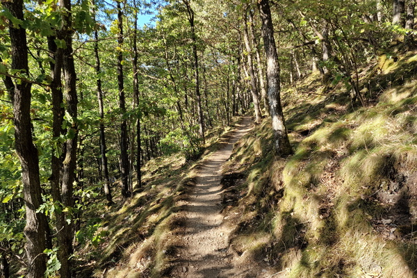 Sentier Ardennes-Eifel near Liefrange