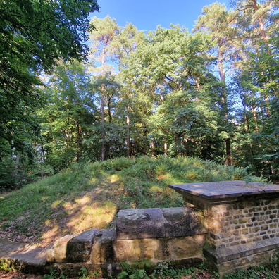20220820_172825.jpg