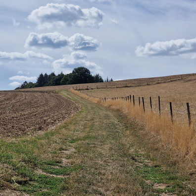 Track near Geyershof