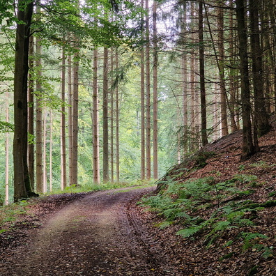 Grünewald