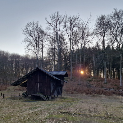 Sunset in Grünewald