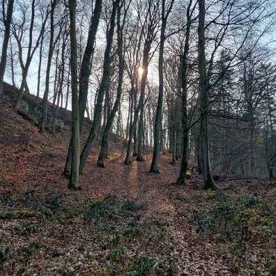 Track between Nospelt and Dondelange