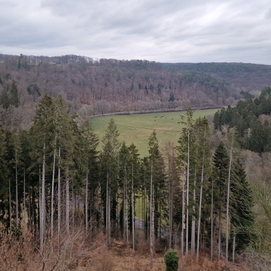 20230307_161242.jpg