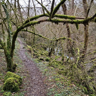 20230312_160617.jpg
