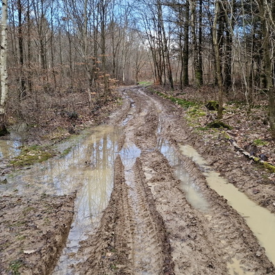 Puddles on muddy signposted track