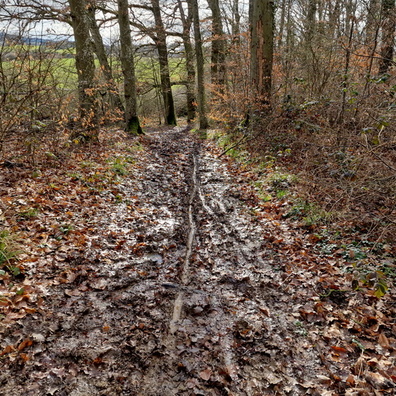 Muddy path