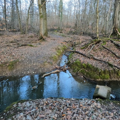 20230318_172157.jpg