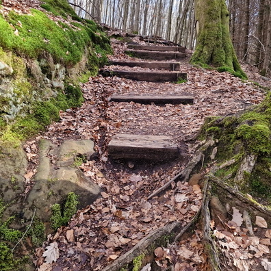 20230324_153713.jpg