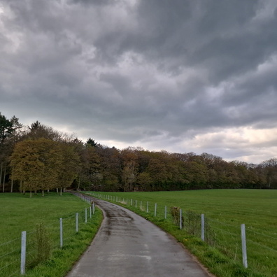 After the rain near Hassel