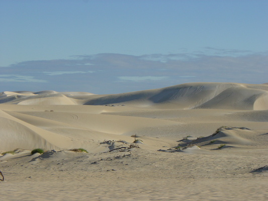 massive sand dunes where we had fun sandboarding :)