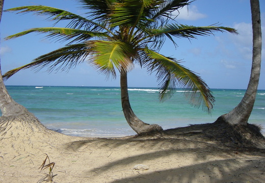 Dominican Republic