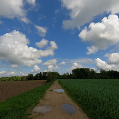 Track near Bridel