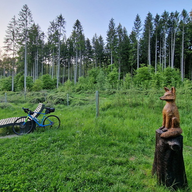 Chilling area in Bois de Colmar-Berg