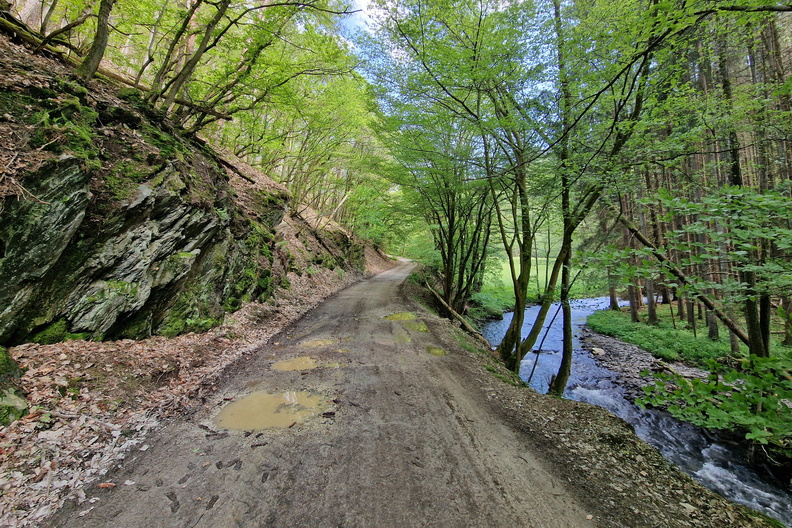 20230518_155055.jpg