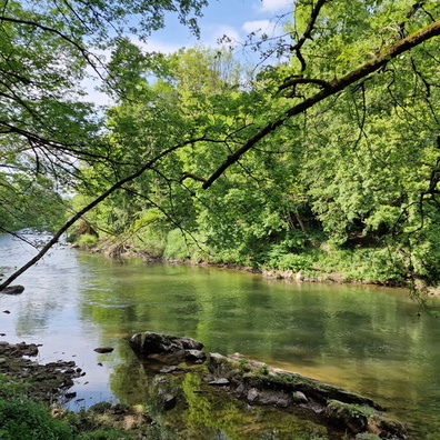 Sauer river near Bollendorf-Pont