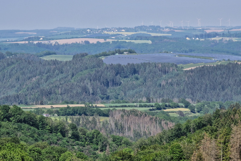 20230525_161621.jpg