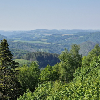 View from Niclosbierg