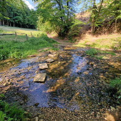 Stepping stones in Vallée des Trois Moulins