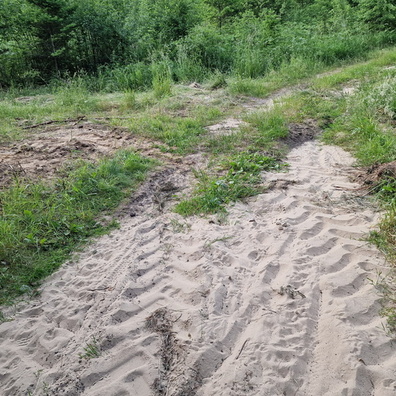 20230608_205925.jpg