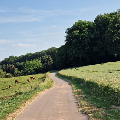 Dällchen West Tour near Vichten