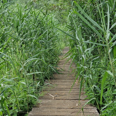 Nature Trail Dumontshaff