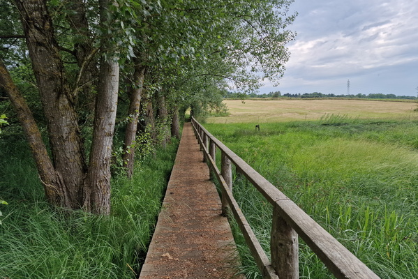 Nature Trail Dumontshaff