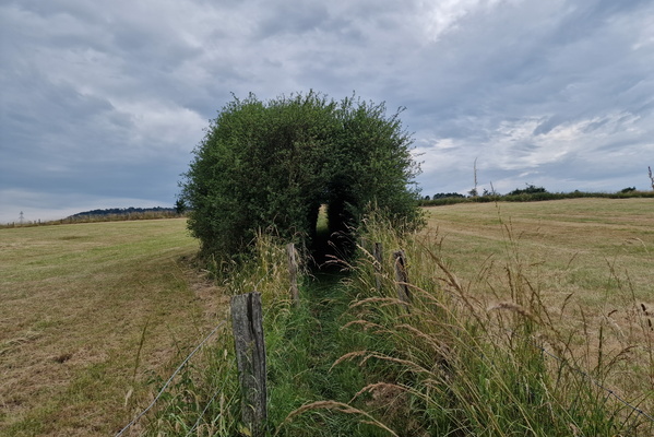 Nature Trail Dumontshaff