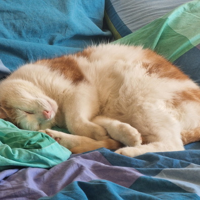 20230609_105119.jpg