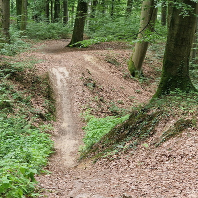 Forest path near Steinsel