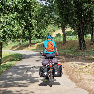 Packed bike