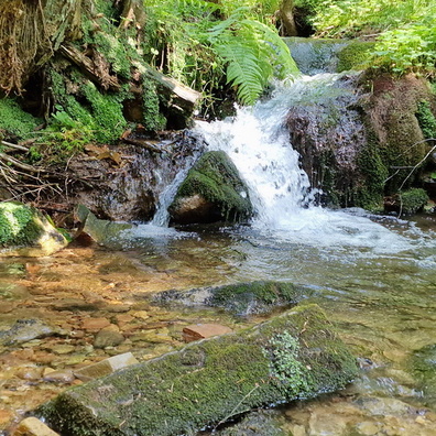 Mini waterfall