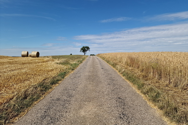 Felsenroute near Colbette