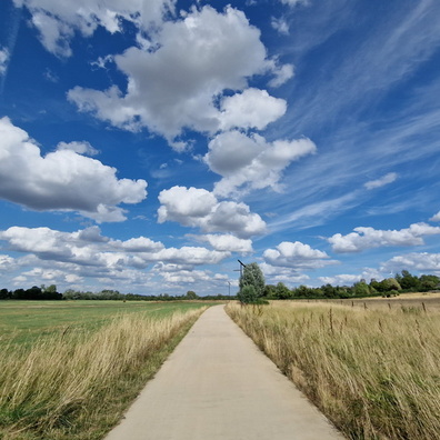 Concrete track in Bettembourg