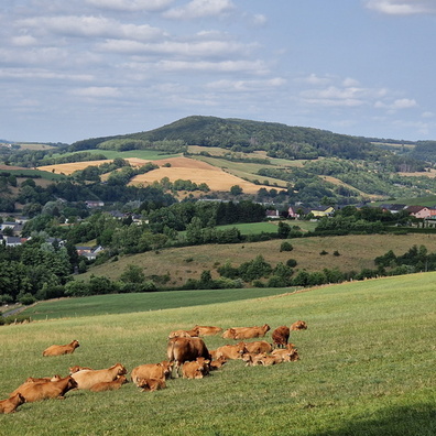 Hill view near Gilsdorf