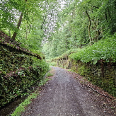 Huldange bat tunnel