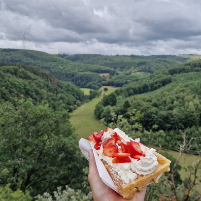 Waffle with a viewpoint