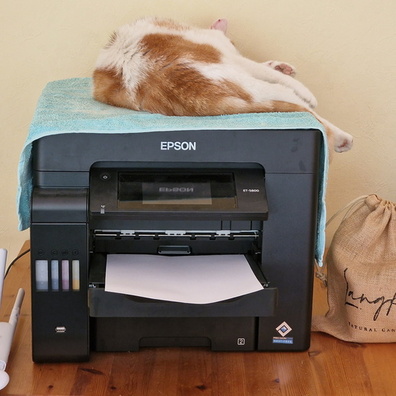 Timmy loves printing