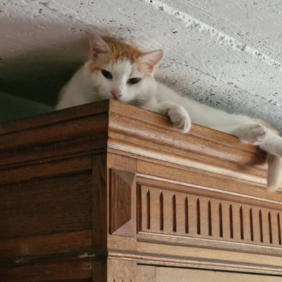 20230815_135752.jpg