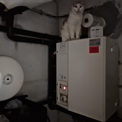 Timmy the heating controller